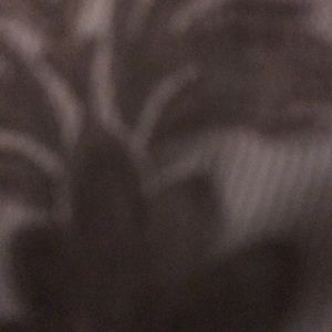 Meet your Posher, Valencia